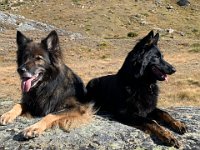 Shani und Gitan